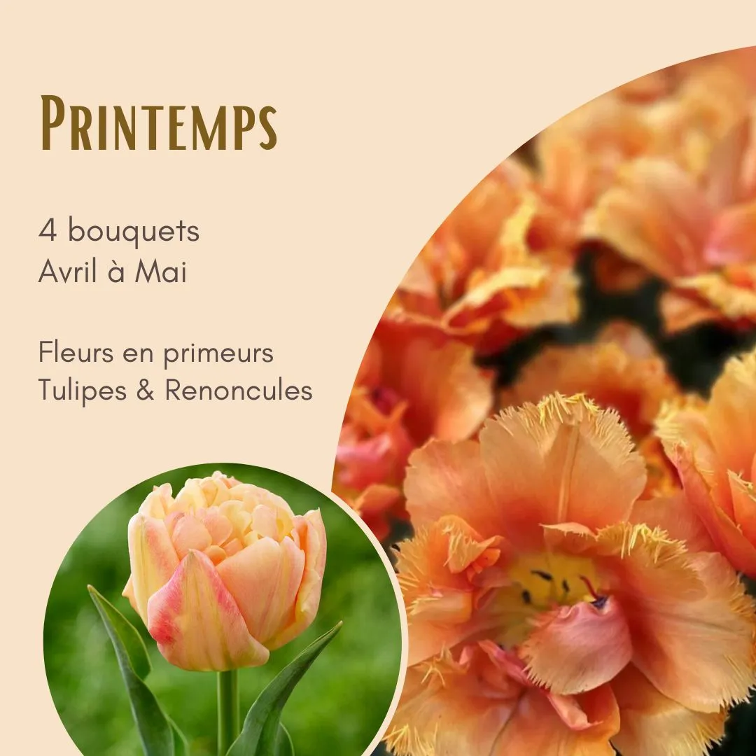 Forfait Printemps