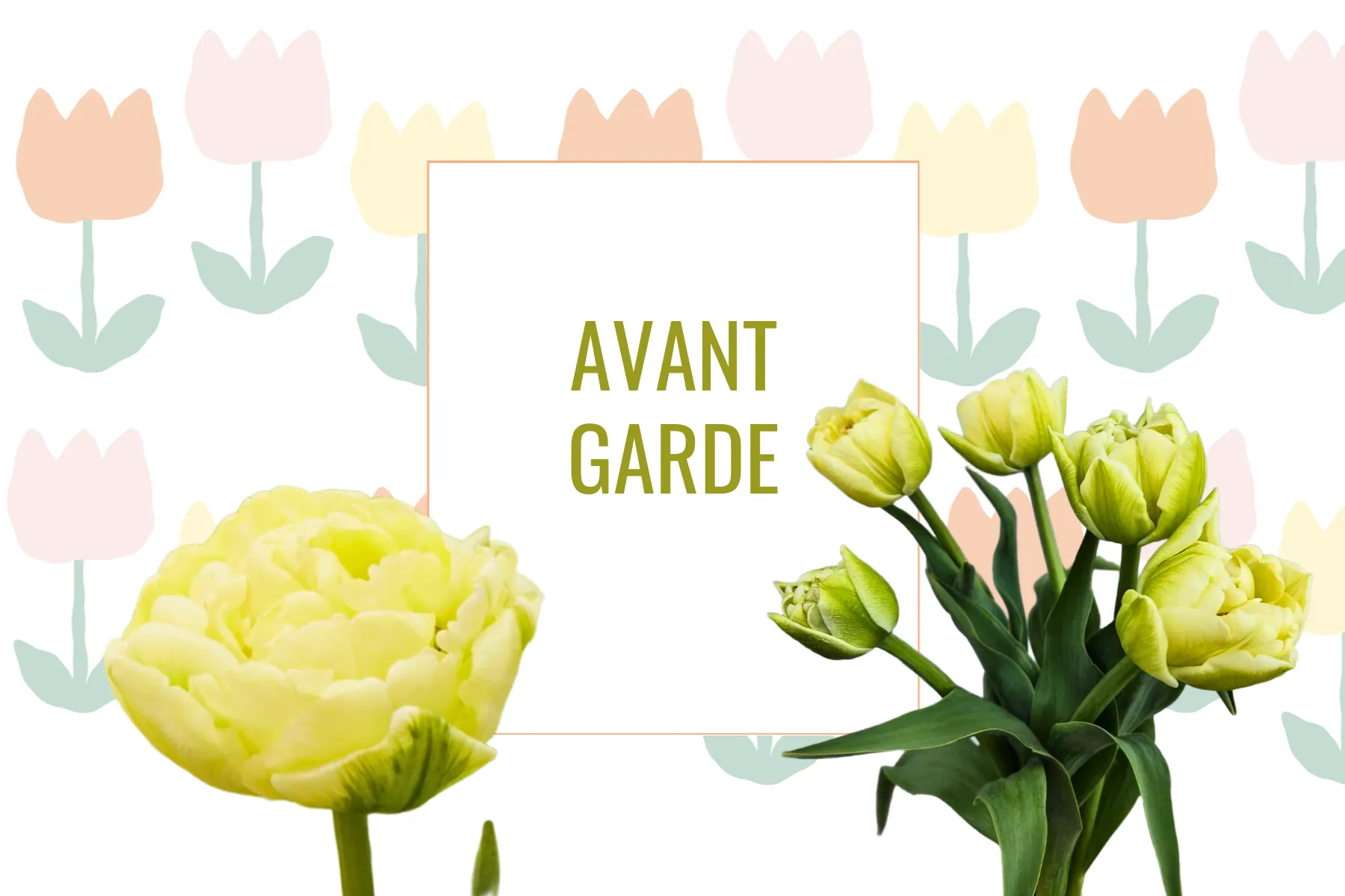 Tulipe Avant Garde
