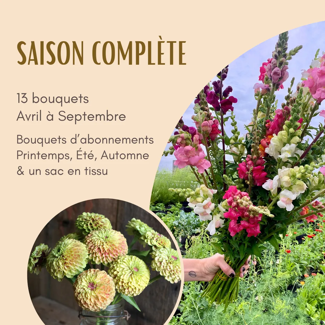 Abonnement Saison Complète