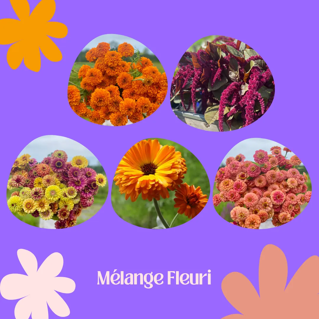 Mélange Fleuri - Funky Garden