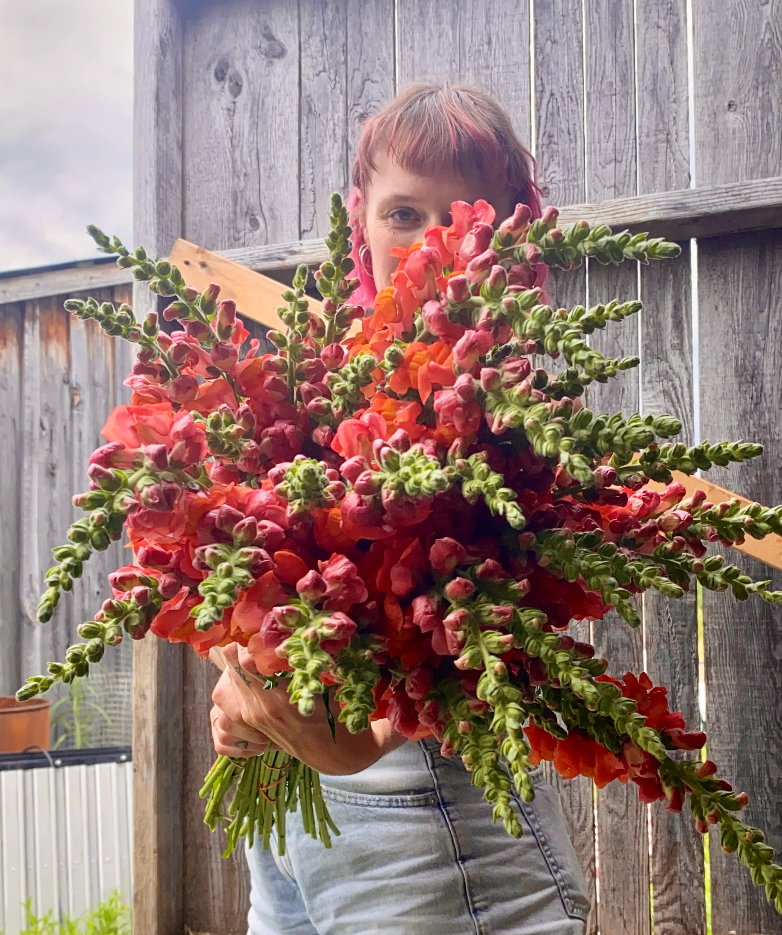 Une personne tient un grand bouquet de fleurs rouges et roses devant une clôture en bois.