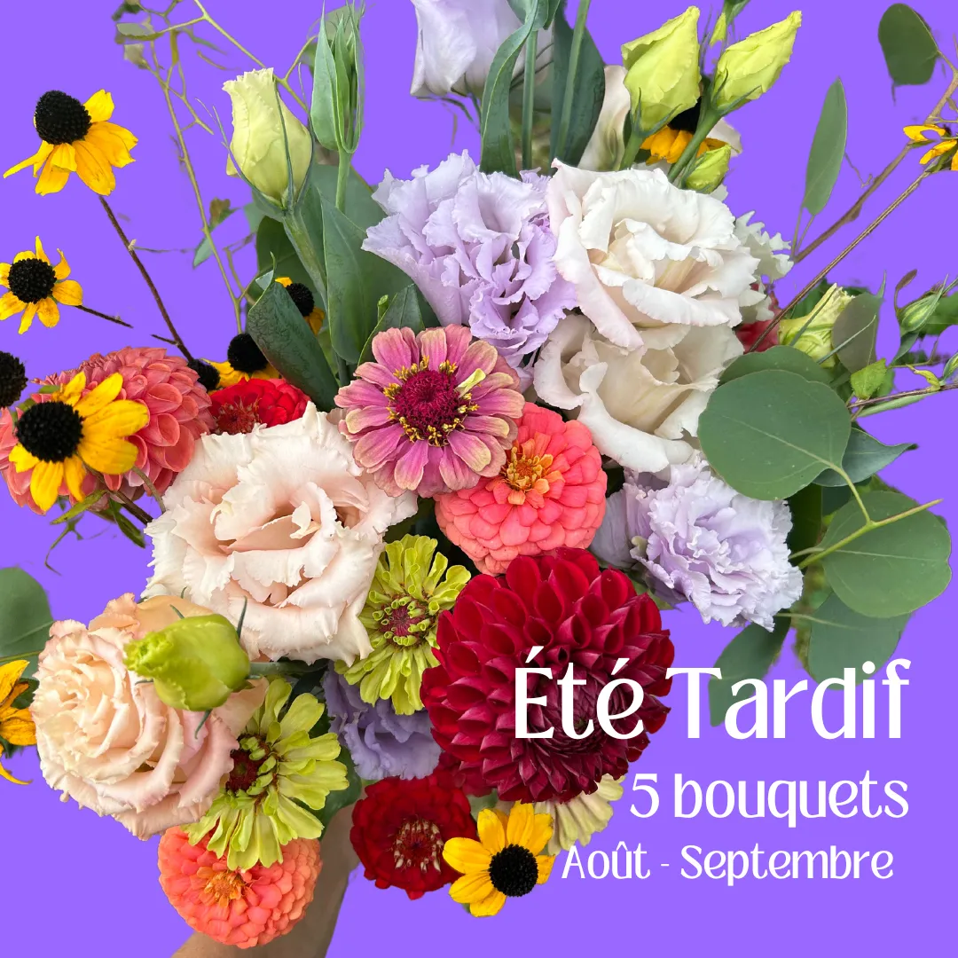 Forfait Été Tardif